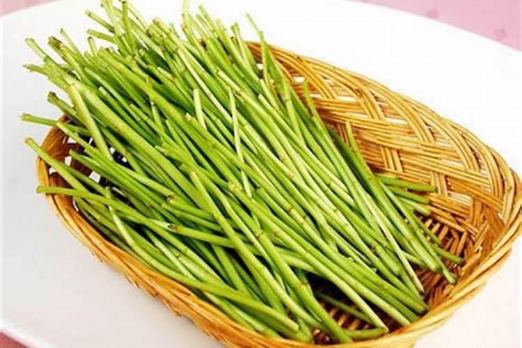 蒌蒿是什么东东呀