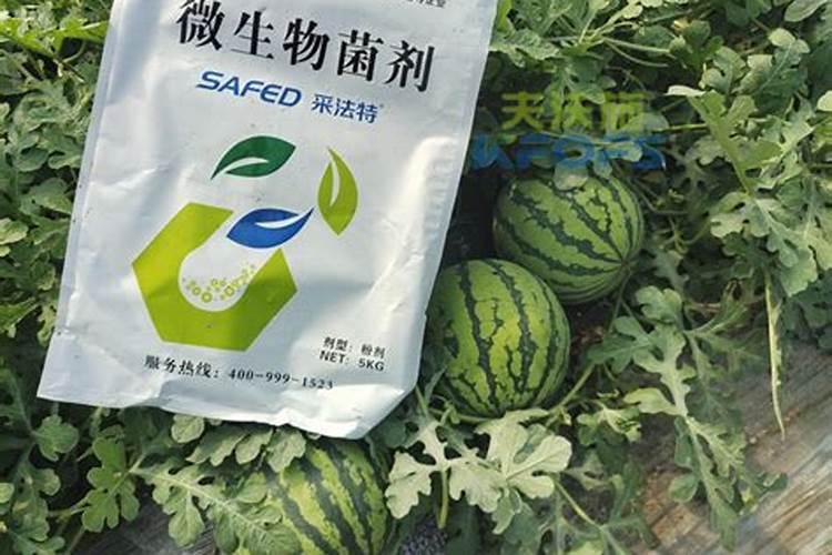 种菜复合肥怎么使用正确 多久施一次
