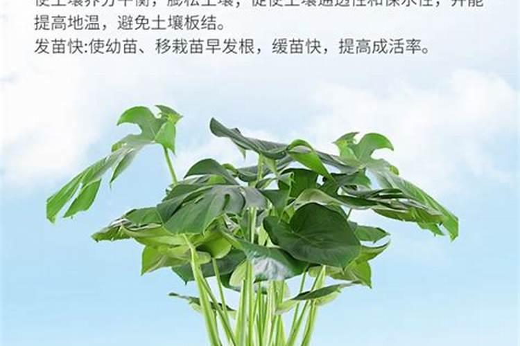 什么花适合施高钾肥？