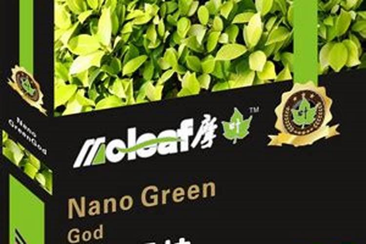 三角梅新长出的小芽还要修剪吗？