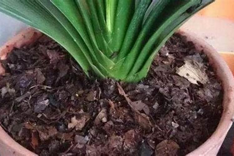 喷浆造粒、氨化造粒、高塔造粒的区别