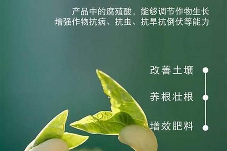 生活中有哪些肥料