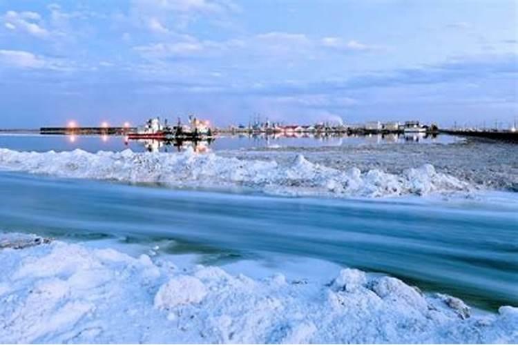 江门植保有限公司主要产品有哪些