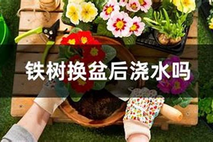雷暴产生的肥料是什么,雷暴形成的必要条件
