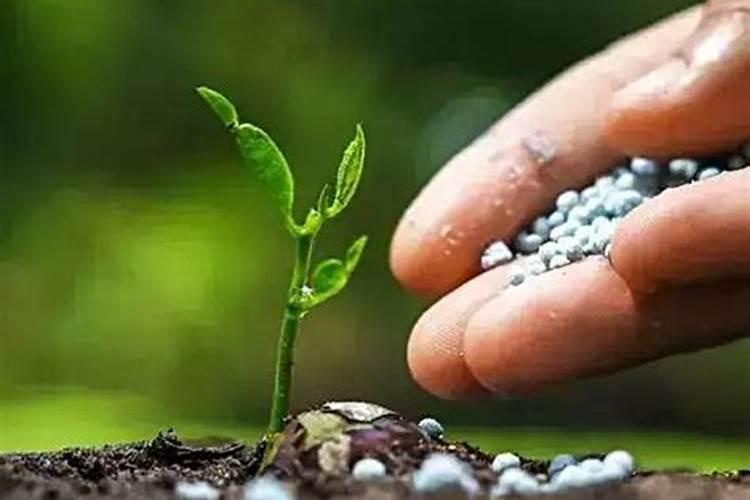 检验铵态氮肥的方法