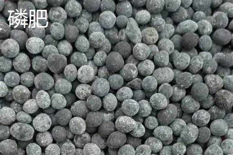磷肥分为哪几种类型？