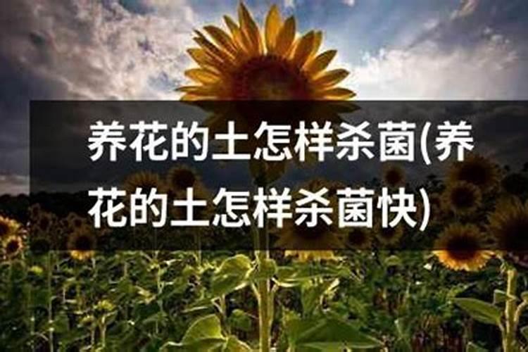 氮肥养花的作用