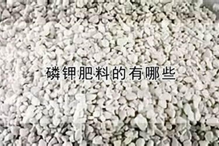 磷钾肥料的有哪些 磷钾肥料有什么