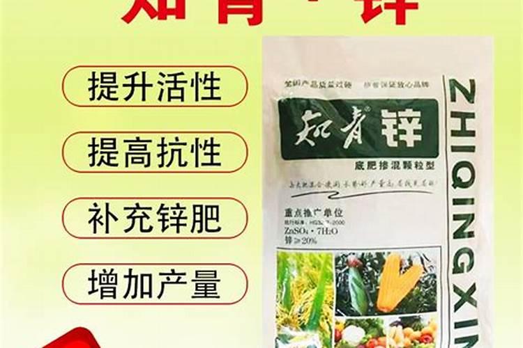 什么蔬菜补锌最快最好