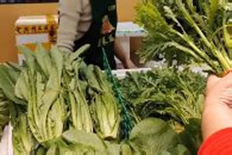 室外天气凉用什么肥料蔬菜可以快速生长？