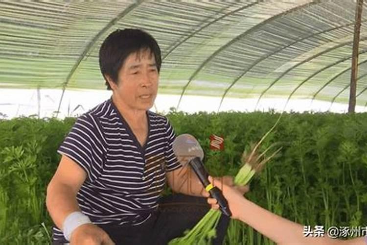 豆浆粉冲豆浆的具体方法