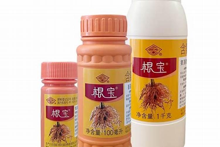 国光根宝使用方法