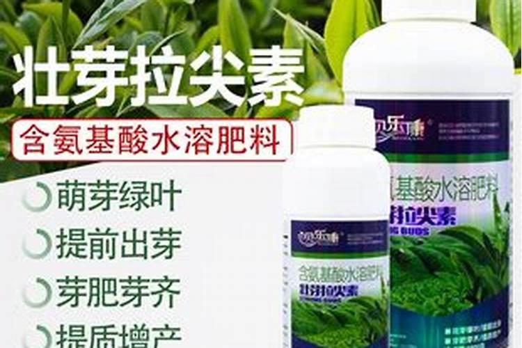 干粉和水基灭火器区别