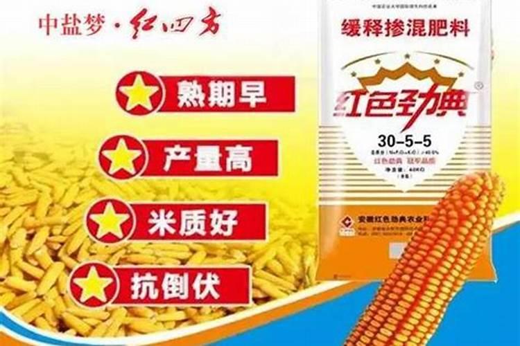 玉米出现紫红苗的原因有哪些 如何进行防治和补救