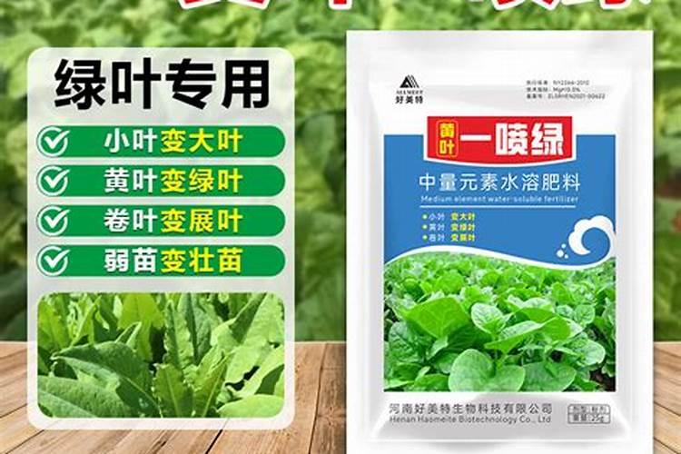 黄瓜叶片如何变绿变厚？