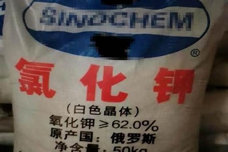 果树开花期可以施肥吗