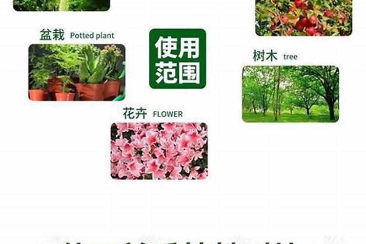 家用有机肥好还是复合肥好