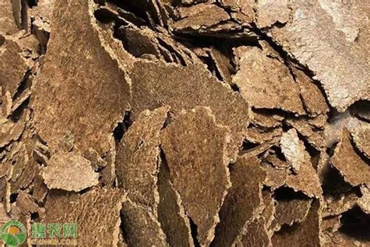杜鹃花肥制作与使用方法