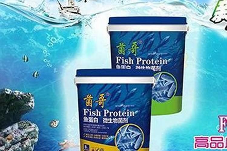 锦鲤鱼骨霸和增体哪种好呢？