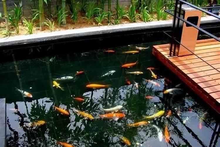 给葡萄施肥的方法是什么？