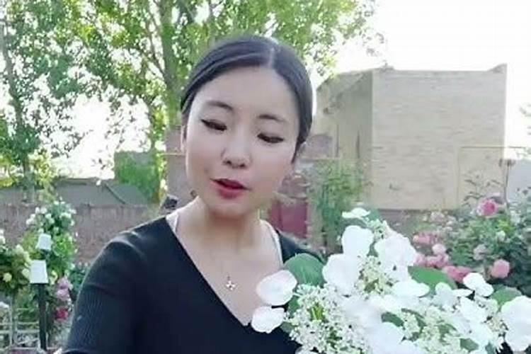绣球花什么时候浇磷酸二氢钾