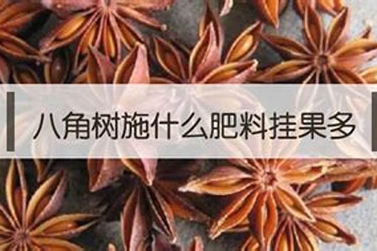 叶面肥是什么？使用时需要注意什么？