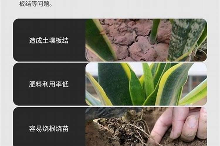 什么是多肽尿素？多肽尿素如何使用？