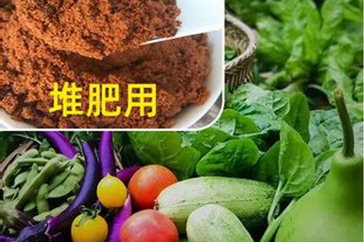 深圳市雅芙食品有限公司怎么样？