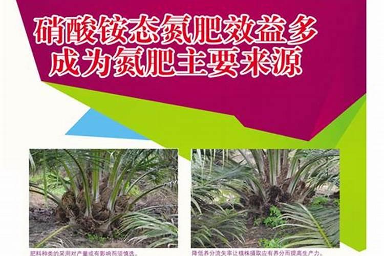 氮肥的使用方法和技巧