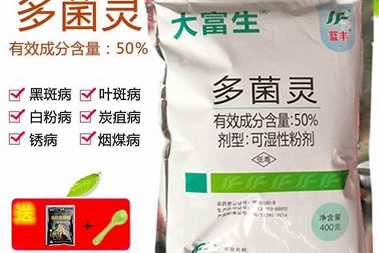 玉米根腐病怎么治