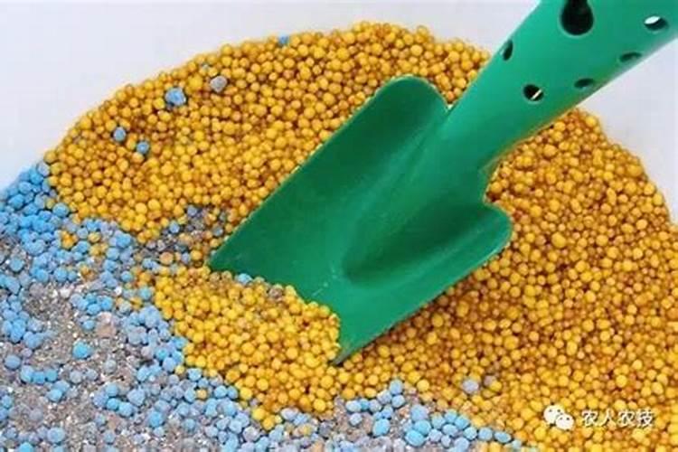 为什么开花要用磷肥