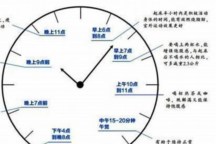 橙子树什么时候下肥料