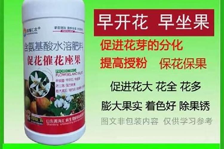 水溶肥给果树上的时候什么时候好