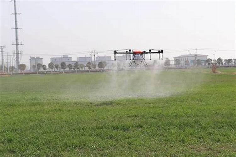 樱桃树秋季施什么肥最好