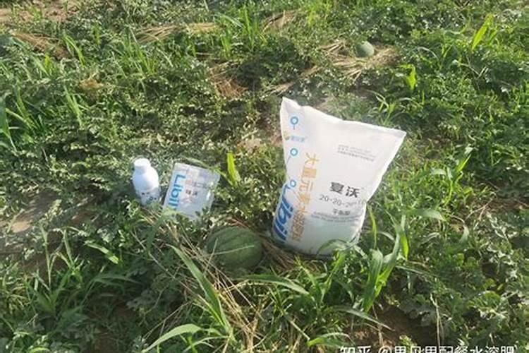 浇小西瓜幼苗用水溶肥用多少克？