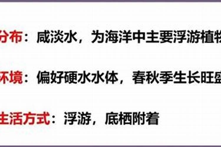 活力素使用方法？