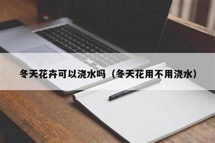 冬季可以给家里养的花施肥吗