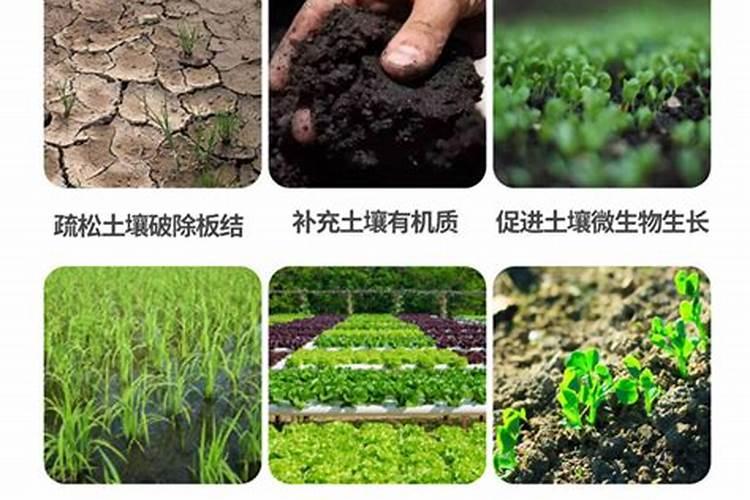 快速自制蔬菜肥料的方法是什么