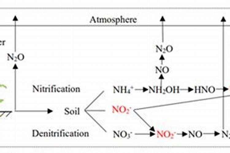 土壤中氮肥过多怎么办？