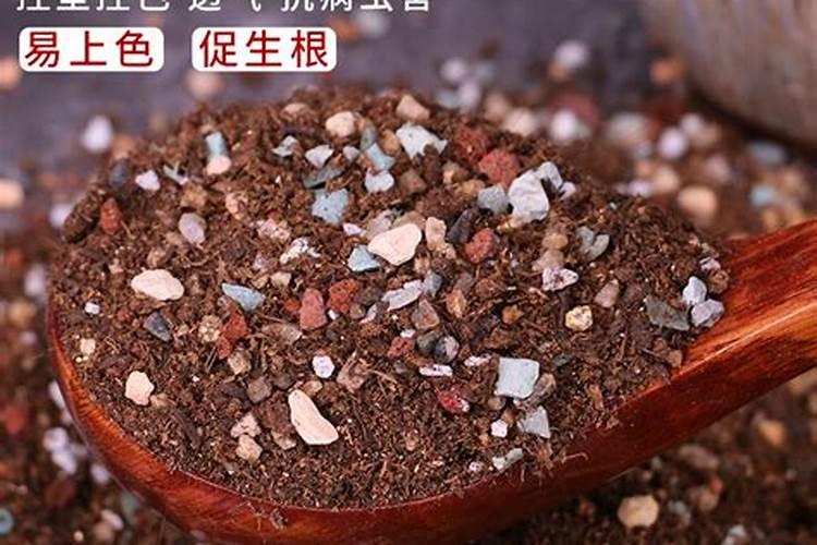 营养液和缓释肥可以一起用吗