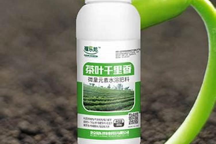 茶叶需要什么肥料？