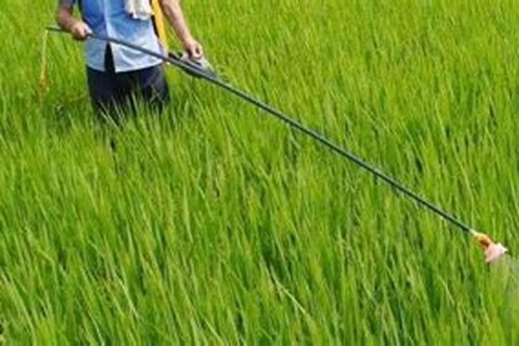 复合肥能不能水稀释后在浇灌