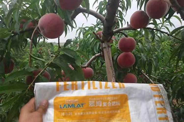水溶肥桃树使用方法