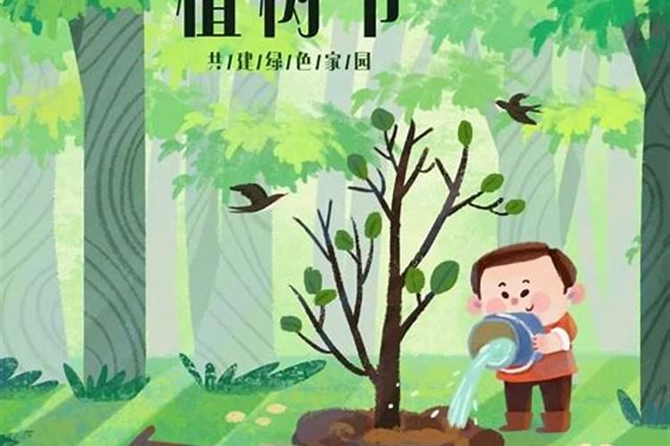 黄瓜生根用什么肥