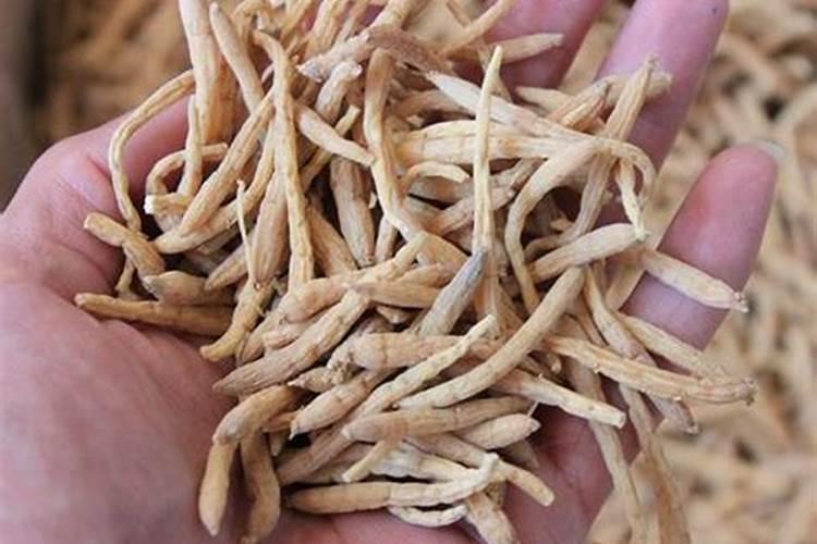 怎样区分氮肥和磷肥和钾肥