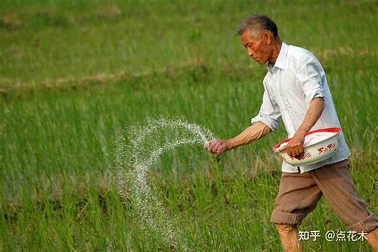 硼砂施多了作物有什么害处？