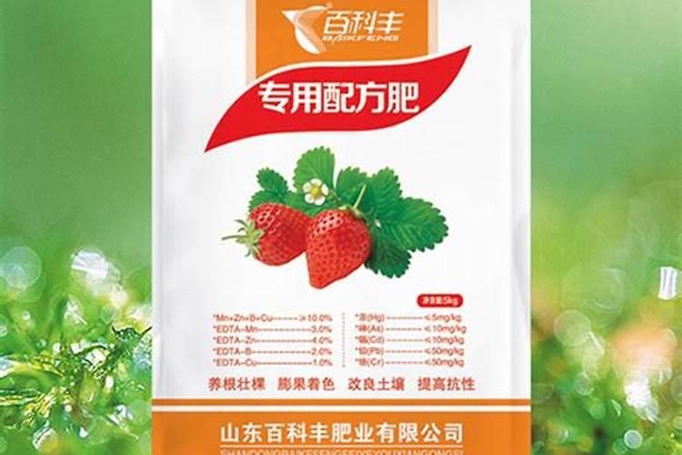 草莓专用肥是什么肥料 草莓施入氮磷钾肥的作用