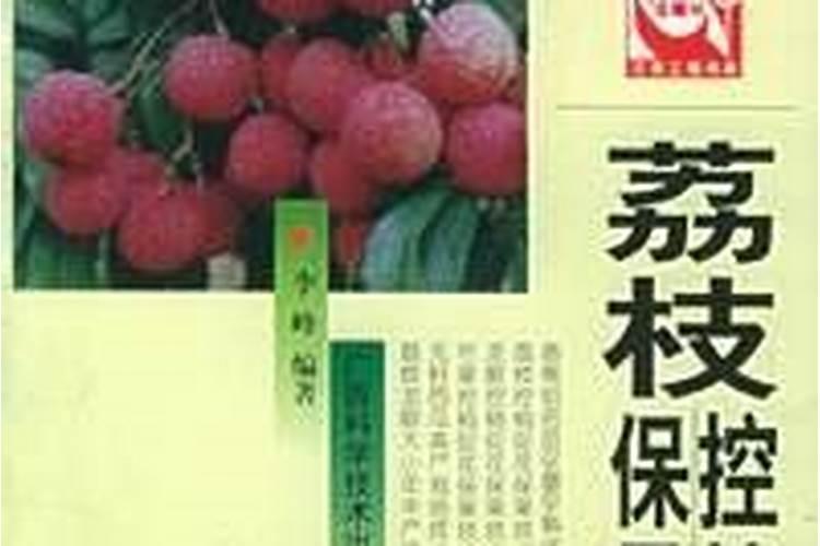 荔枝幼年结果树栽培管理技术
