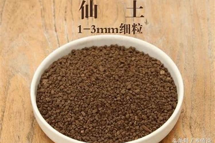 兰草怎么不开花啊 补什么肥料好