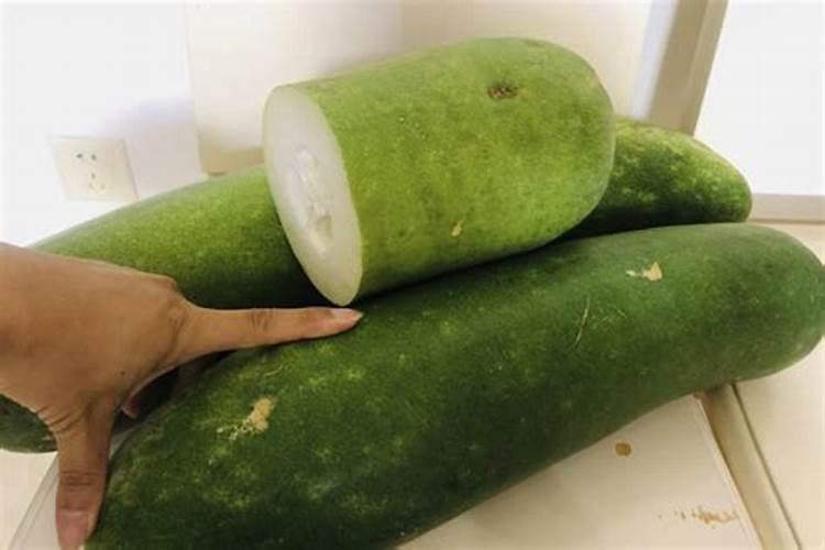 农村种葫芦瓜的话,需要注意哪些？